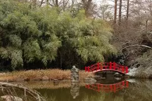 The Japanese Gardens at the Birmingham Botanical Gardens opened in 1967.