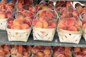 Alabama peach production