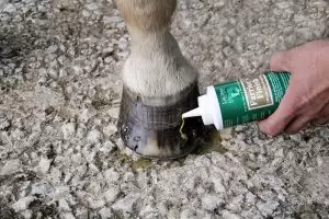 Alabama's Life Data Labs makes a hoof supplement and other animal nutrition and health care products sold internationally.