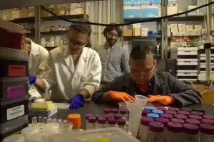 Auburn University research
