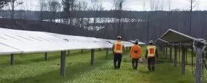 utility-scale solar
