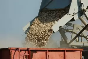 Coastal Growers Alabama