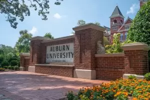 rural Alabama development