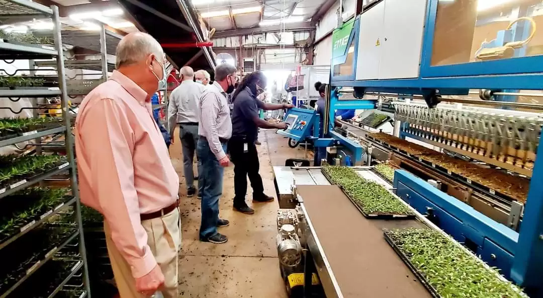 Bonnie Plants plans greenhouse projects, e-commerce upgrades in Alabama