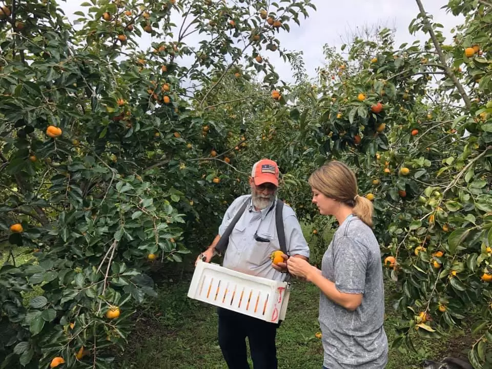 Alabama-grown: Chilton County farmer cultivates her dream