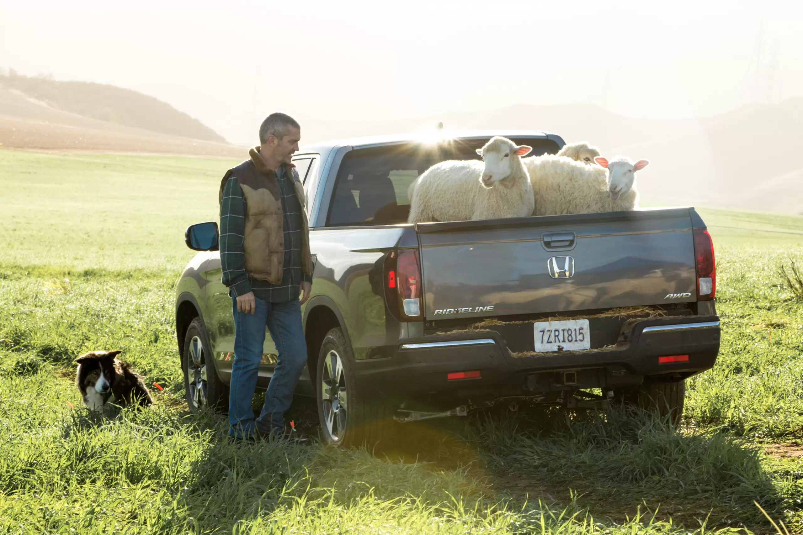 Alabama-made Ridgeline Super Bowl 50 spot leads the flock