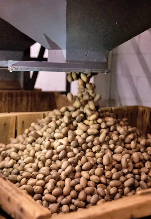 Priester’s Pecans, landmark Alabama brand, plans to harvest future growth