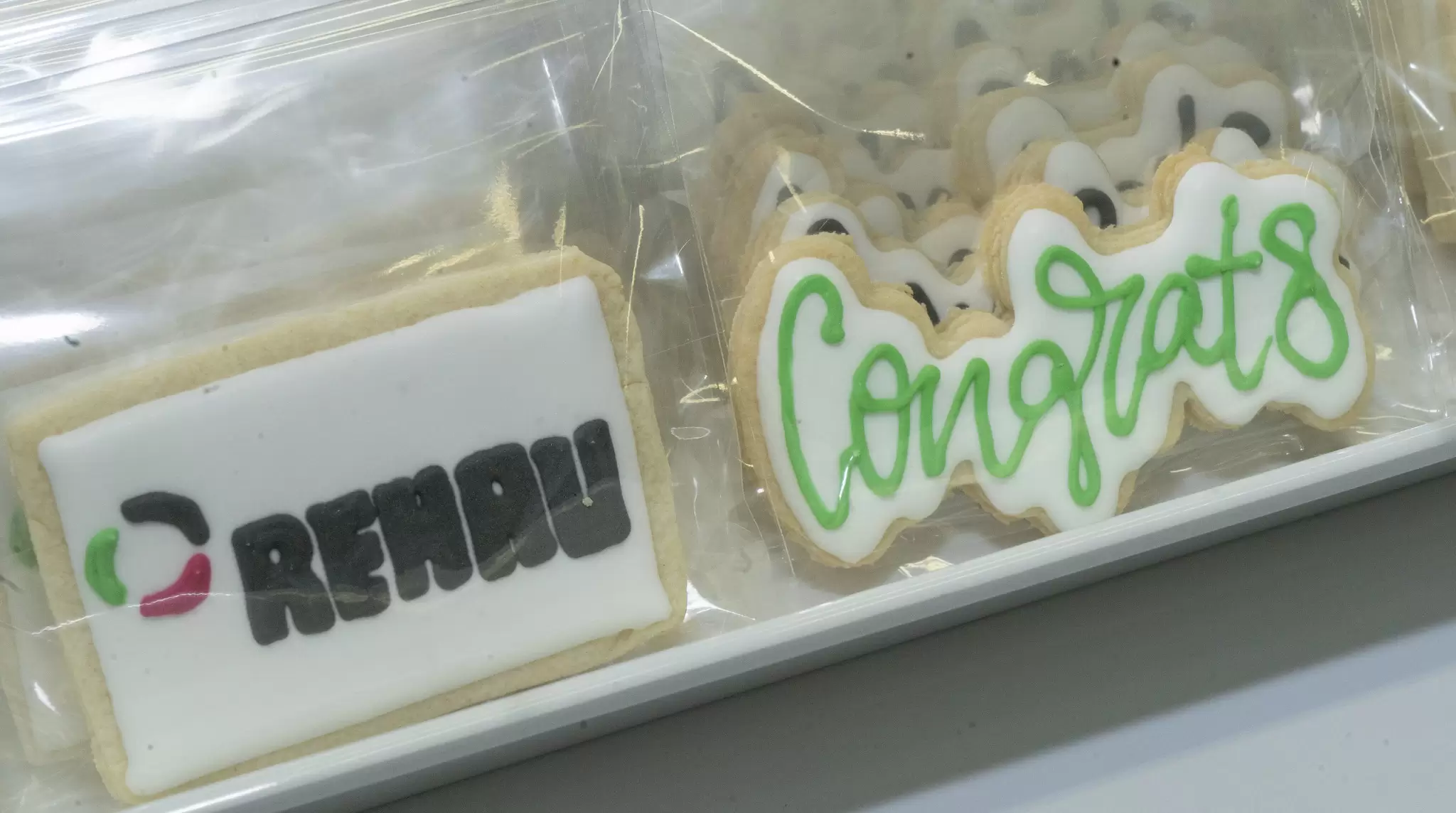 Marking 25 years in Alabama, REHAU plans $50 million growth project in Cullman