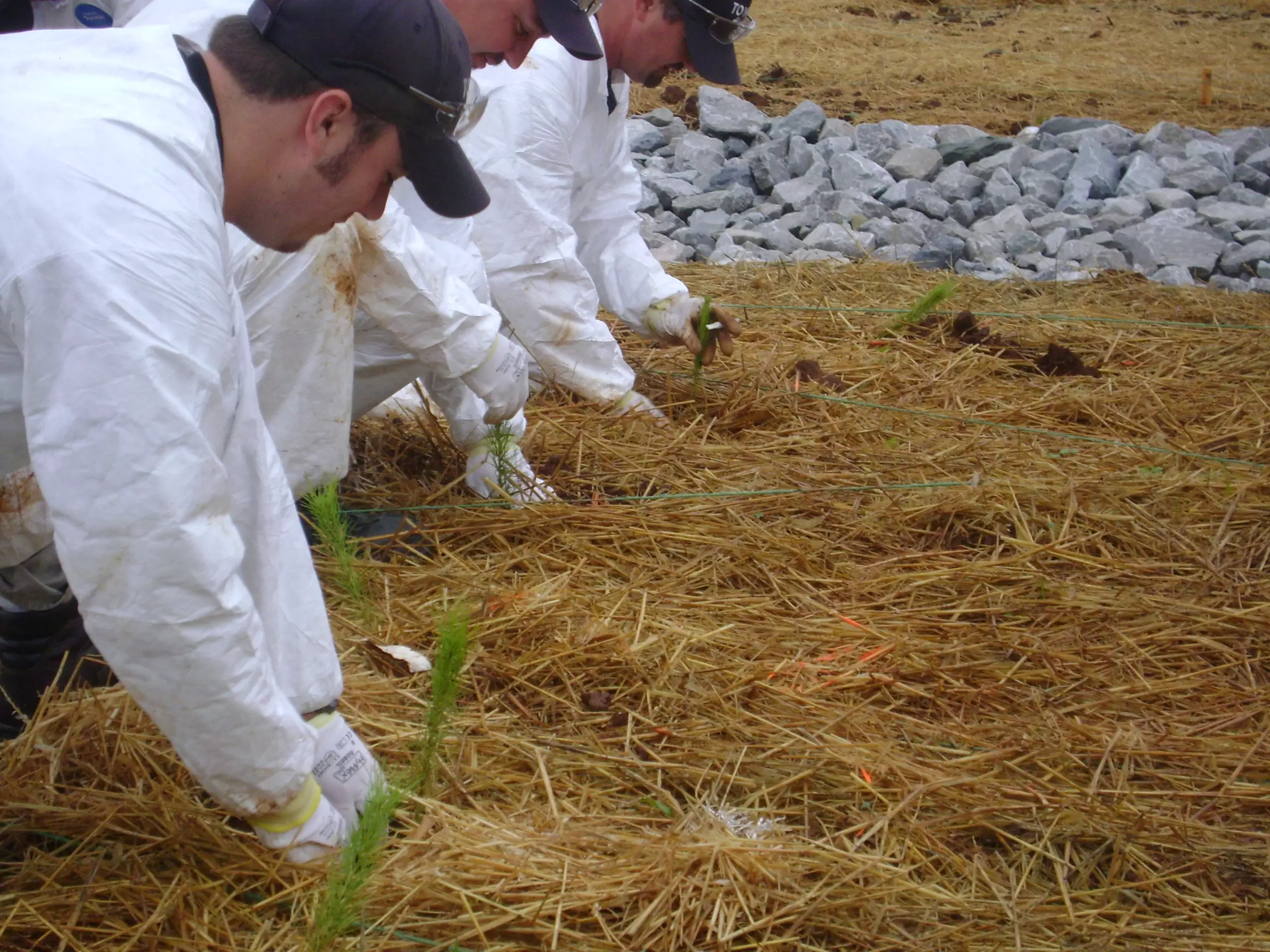 Alabama auto facilities add green projects to line-up