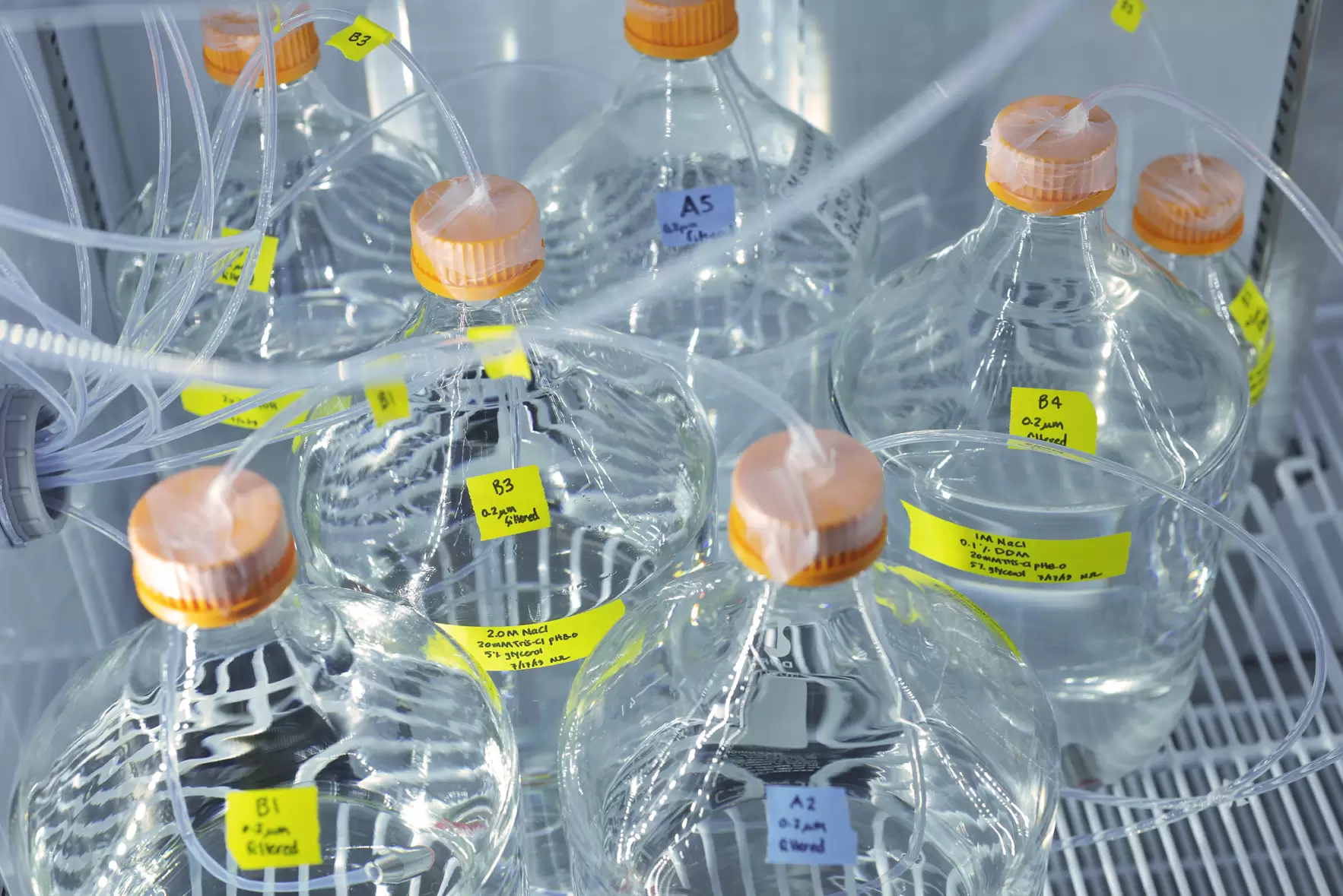 Alabama researchers energize efforts to aid search for COVID-19 therapies