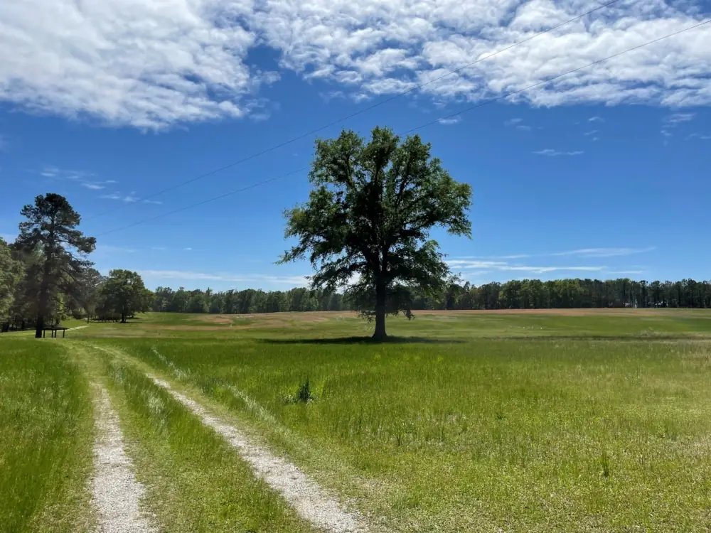 Alabama economic development